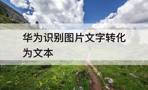 华为识别图片文字转化为文本