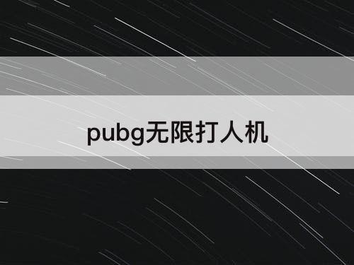 pubg无限打人机