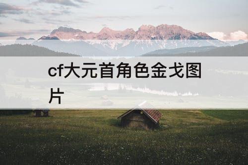 cf大元首角色金戈图片