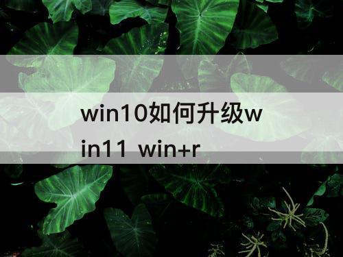 win10如何升级win11 win+r