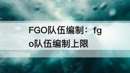 FGO队伍编制：fgo队伍编制上限