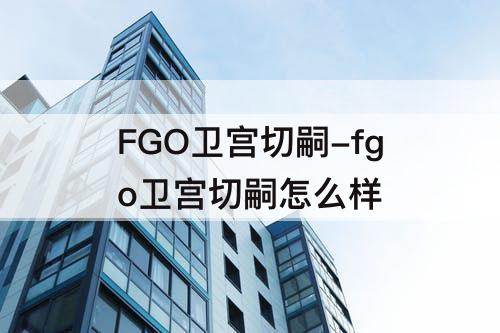 FGO卫宫切嗣-fgo卫宫切嗣怎么样