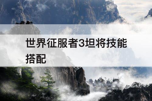 世界征服者3坦将技能搭配