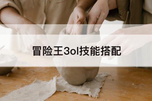 冒险王3ol技能搭配