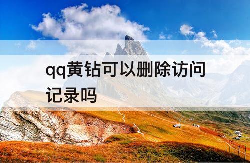 qq黄钻可以删除访问记录吗