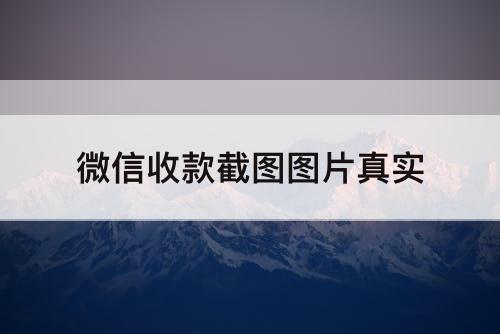 微信收款截图图片真实