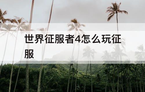 世界征服者4怎么玩征服