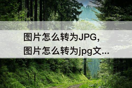 图片怎么转为JPG，图片怎么转为jpg文件