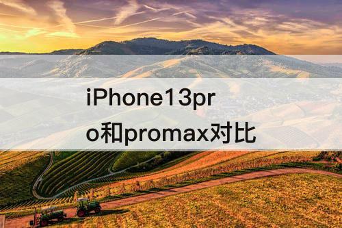 iPhone13pro和promax对比