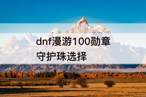 dnf漫游100勋章守护珠选择