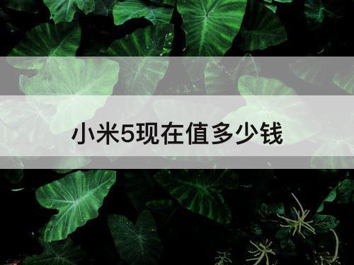 小米5现在值多少钱