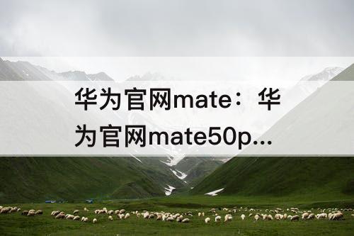华为官网mate：华为官网mate50pro图片