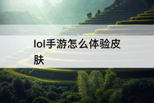lol手游怎么体验皮肤
