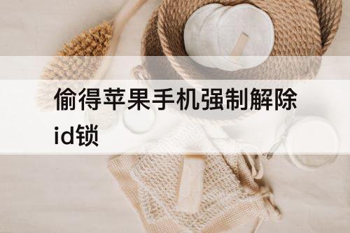 偷得苹果手机强制解除id锁