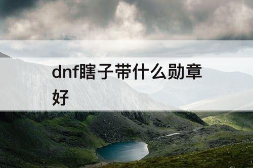 dnf瞎子带什么勋章好