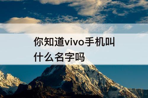 你知道vivo手机叫什么名字吗