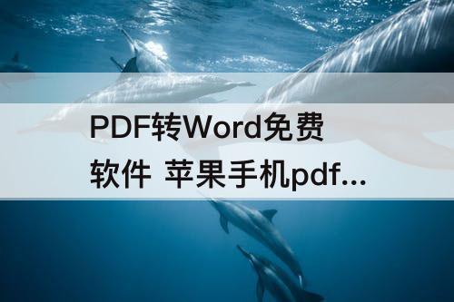 PDF转Word免费软件 苹果手机pdf转word免费软件