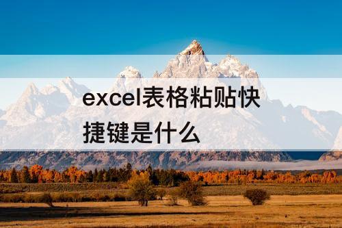 excel表格粘贴快捷键是什么
