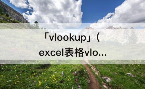 「vlookup」(excel表格vlookup公式一部分数据不出结果)