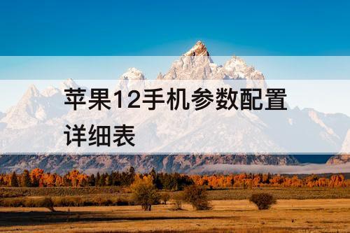 苹果12手机参数配置详细表