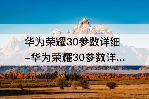 华为荣耀30参数详细-华为荣耀30参数详细参数表