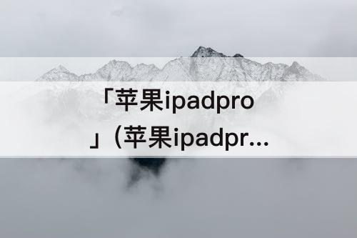 「苹果ipadpro」(苹果ipadpro2018款参数)