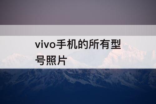 vivo手机的所有型号照片