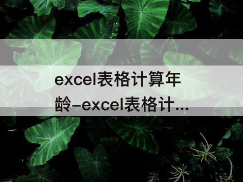 excel表格计算年龄-excel表格计算年龄公式大全