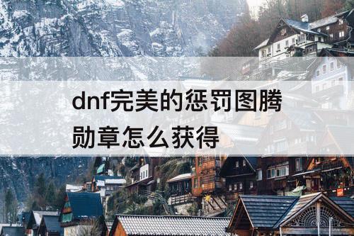 dnf完美的惩罚图腾勋章怎么获得