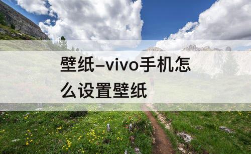 壁纸-vivo手机怎么设置壁纸