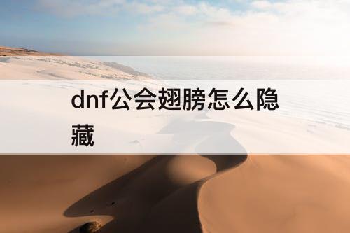dnf公会翅膀怎么隐藏
