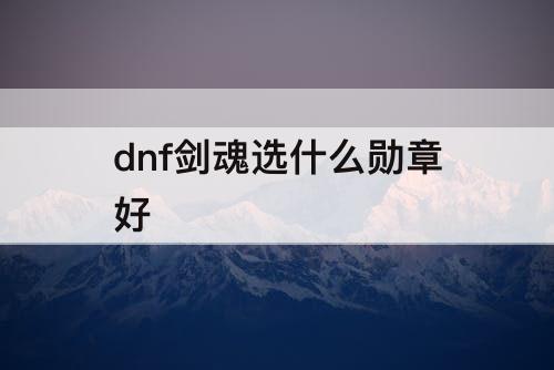 dnf剑魂选什么勋章好