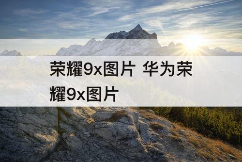 荣耀9x图片 华为荣耀9x图片