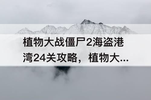 植物大战僵尸2海盗港湾24关攻略，植物大战僵尸2海盗港湾24关攻略简单