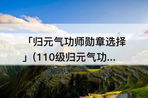 「归元气功师勋章选择」(110级归元气功师勋章选择)