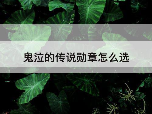 鬼泣的传说勋章怎么选