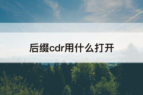 后缀cdr用什么打开