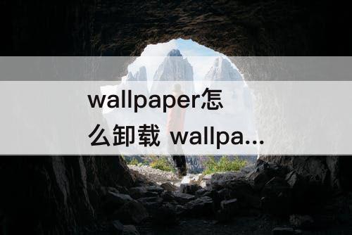 wallpaper怎么卸载 wallpaper怎么卸载干净