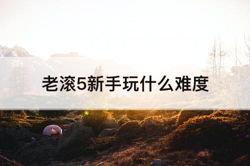 老滚5新手玩什么难度