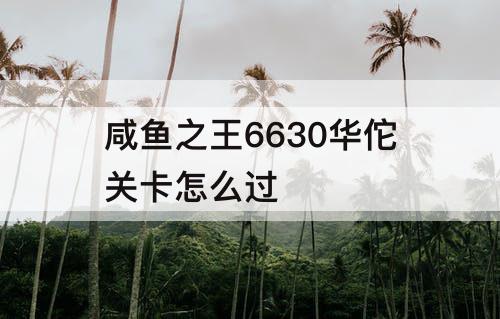 咸鱼之王6630华佗关卡怎么过