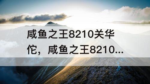 咸鱼之王8210关华佗，咸鱼之王8210关华佗怎么打