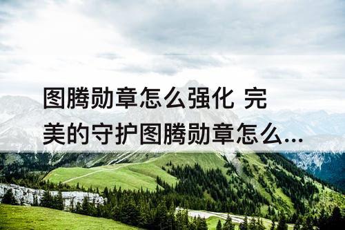 图腾勋章怎么强化 完美的守护图腾勋章怎么强化