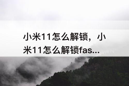小米11怎么解锁，小米11怎么解锁fastboot