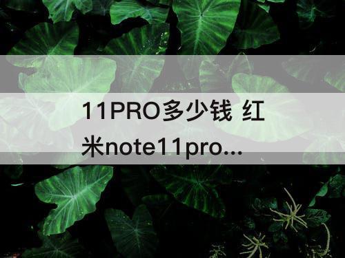 11PRO多少钱 红米note11pro多少钱购买到手