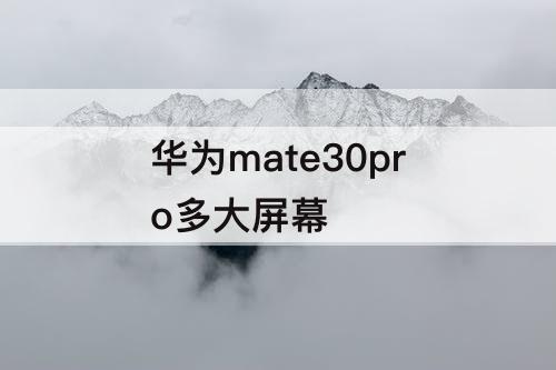 华为mate30pro多大屏幕
