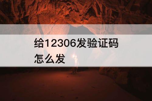 给12306发验证码怎么发