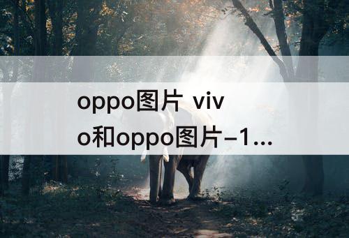 oppo图片 vivo和oppo图片-100