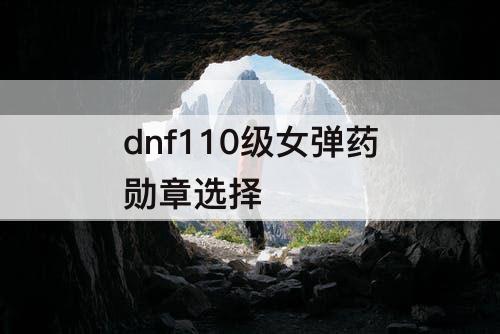 dnf110级女弹药勋章选择