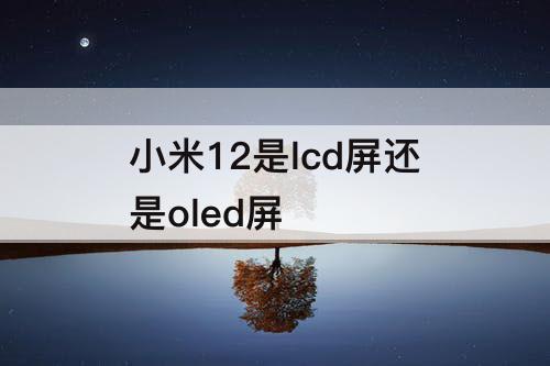 小米12是lcd屏还是oled屏