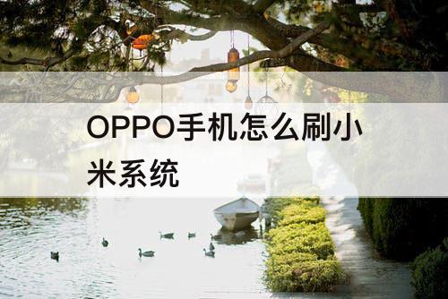 OPPO手机怎么刷小米系统
